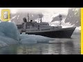 Killer Whales vs. Minke Whale