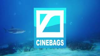 Video Intro