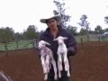View Video