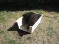 Groenendael puppies playing