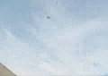 Valenzetti Flying Saucer