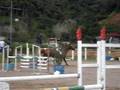 videos de Campeonato Cat. Amazonas