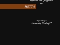 METTA-The-Practice-o