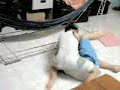 Trận chiến của 2 thằng nhóc - free flv video @ vwatch.tv