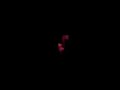 fiesta dark electro wave