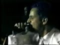 dlg live en n.y