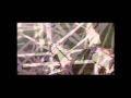 つしまみれ「献血ソング」