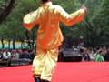 醉拳 Zuiquan (Chinese drunk Boxing)