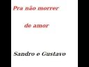 videos de Pra não morrer de amor