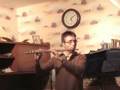 Beauty and the Beast - flute solo