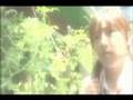 『約束の地に咲く花』（2006）