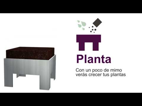 Imagen de previsualización de YouTube