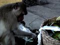 Part 4 - Cambodia Travels - angkor wat