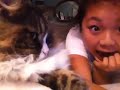 Funny Cat Video (singing hey lucy)