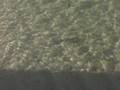 videos de Malediven Urlaub 2008 Nasuh