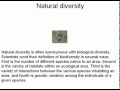 Can A Real, Comprehensive Definition Of Biodiversity Be Found