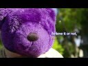 videos de Believe It Or Not - November 22, 2008