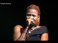 bEe HiV3 RiDDim