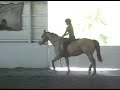 Duncan: A Halter and a Bareback Pad, 09/01/08
