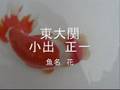 相模らんちゅう会第１５回品評大会（親＆二歳）