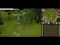 runescape wood cutting