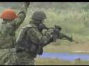 JAPAN JGSDF Type 89 5.56mm Assault Rifle Shooting Video