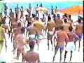 Brazilian Jiu-Jitsu vs. Luta Livre - Rickson Gracie