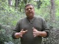 Dog Nutrition - Do You Know What\