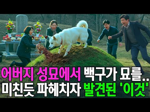 진돗개가 파헤친 아버지 묘에서 발견된 '이것'..아무도 상상못한 충격적 진실
