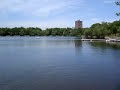 jamaica pond
