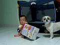 videos de Baby boxing