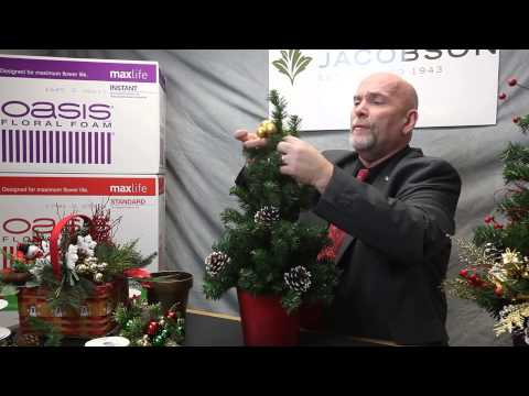 how to care for a potted xmas tree