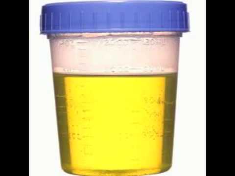 how to check ovulation