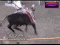 JARIPEO DIA 11 DE DICIEMBRE EN TECALITLAN