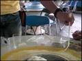 流しそうめん動画16