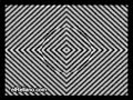 ilusion optica