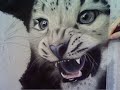 Snow Leopard Demo step7