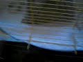 CIMG1236