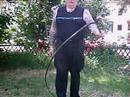 bullwhip-volley.html