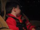 Jagger watching Wallace & Grommit Jagger watching Wallace & Grommit