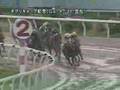 競馬 名実況