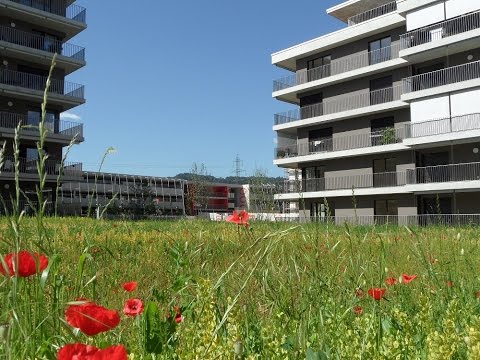 L'éco-quartier à Eikenøtt en Suisse