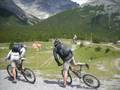 Transalpraphi