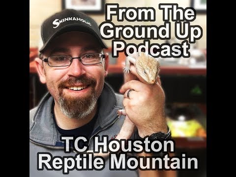 YouTube reptile video