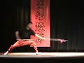 Apex Shaolin Kung fu Sampler
