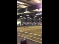 IMG 0200