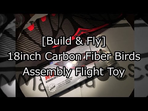 Build & Fly