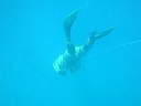 Ulua Miss!!