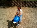 Ty & the dolphin