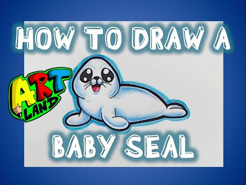 video-linktoworks-How to Draw a BABY SEAL